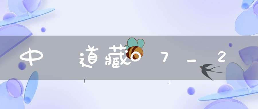 中華道藏07_2