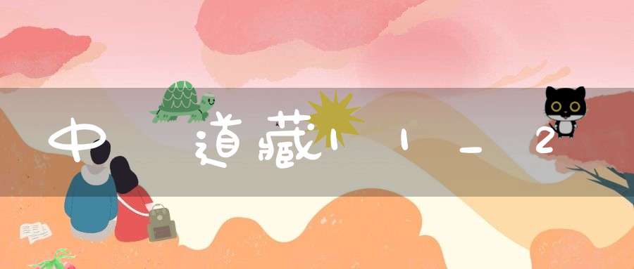 中華道藏11_2