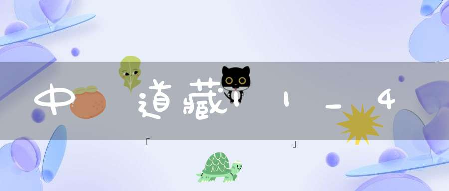 中華道藏11_4