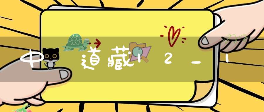 中華道藏12_1