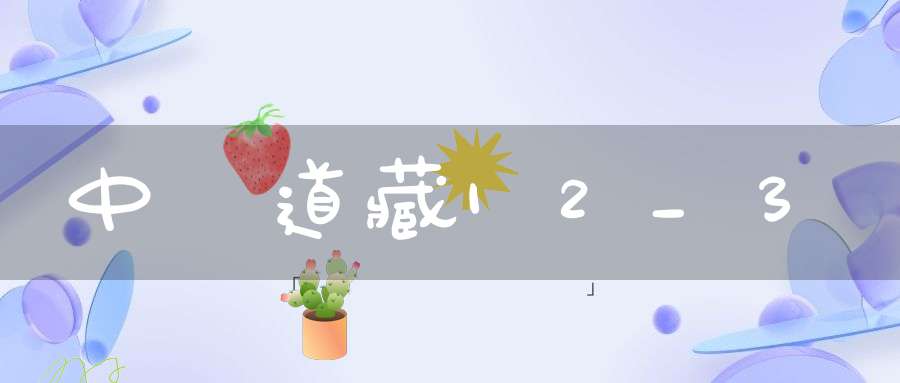 中華道藏12_3