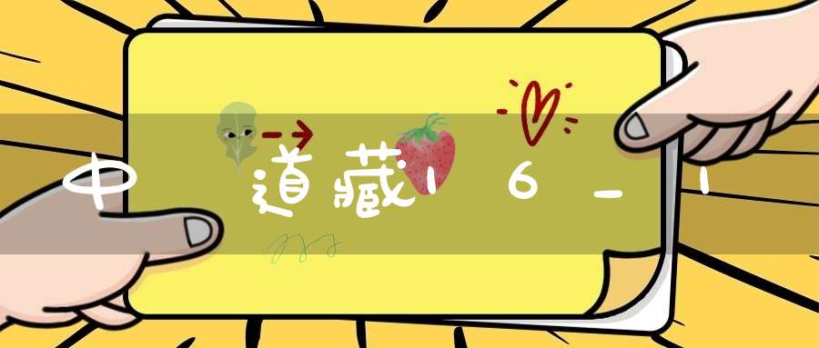中華道藏16_1