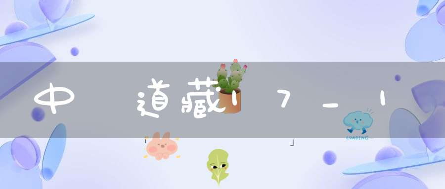 中華道藏17_1