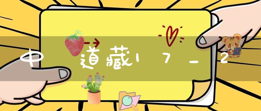 中華道藏17_2