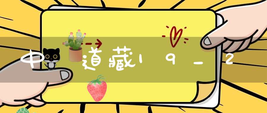 中華道藏19_2