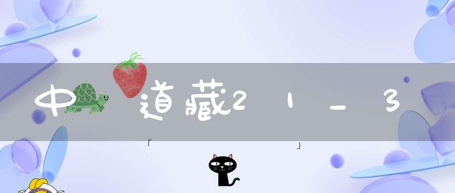 中華道藏21_3