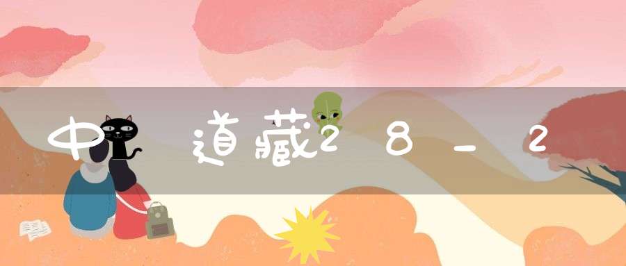 中華道藏28_2