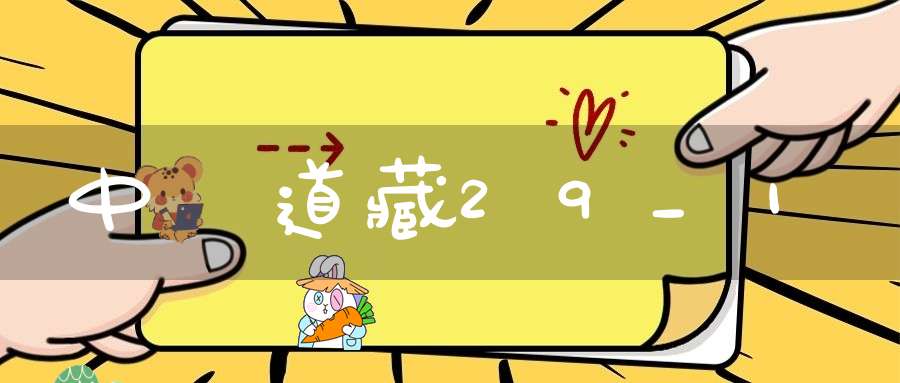 中華道藏29_1