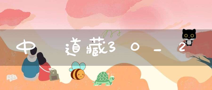 中華道藏30_2