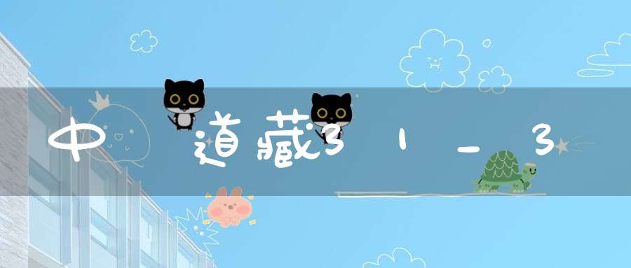 中華道藏31_3
