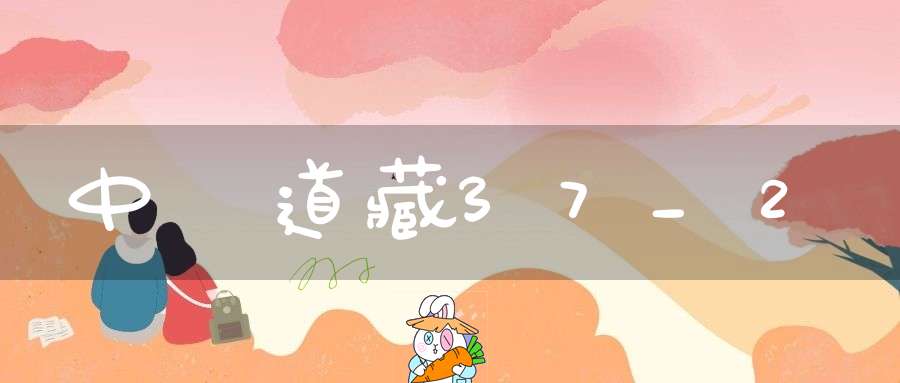 中華道藏37_2