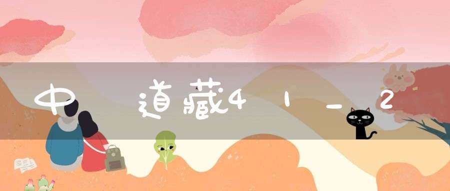 中華道藏41_2
