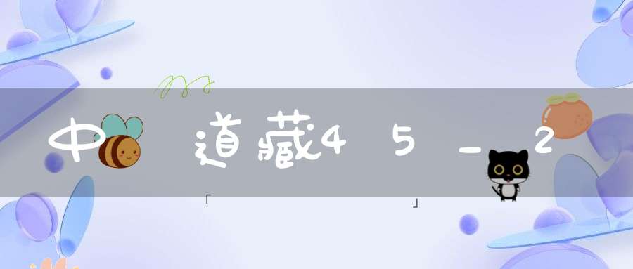 中華道藏45_2