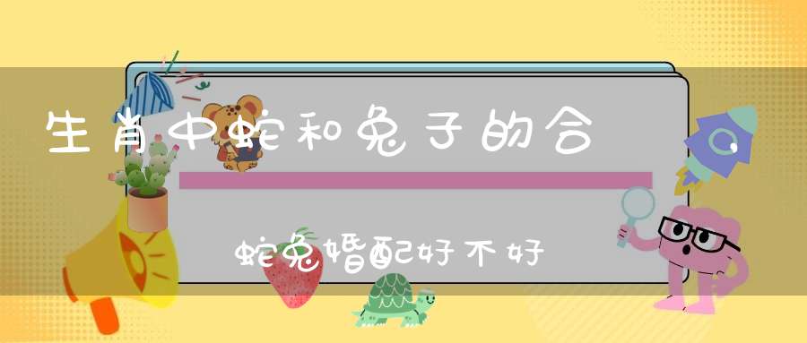 生肖中蛇和兔子的合適嗎，蛇兔婚配好不好