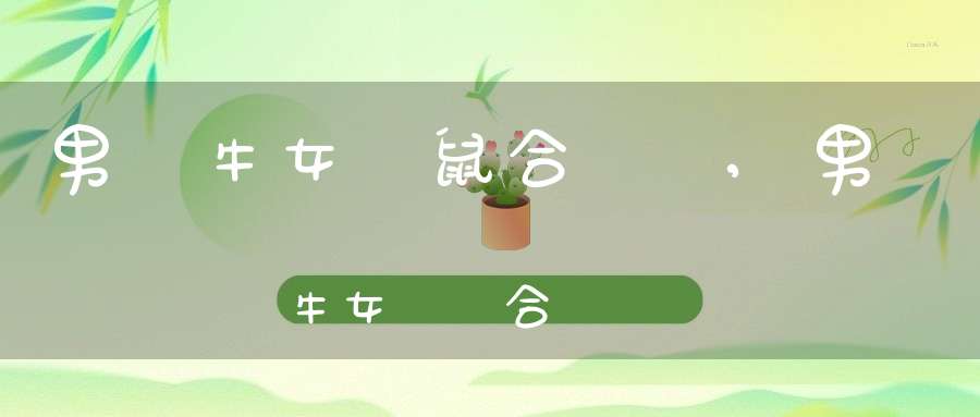 男屬牛女屬鼠合適嗎,男屬牛女屬雞合適嗎