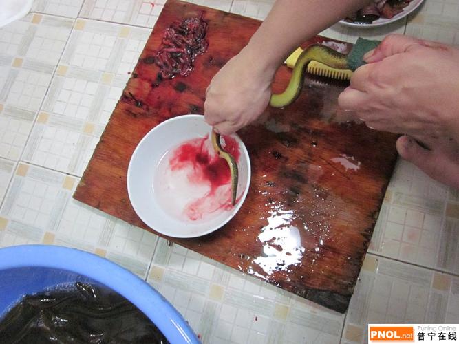 鱧魚血
