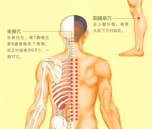 強(qiáng)直性脊柱炎艾灸