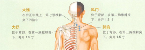 慢性支氣管炎艾灸