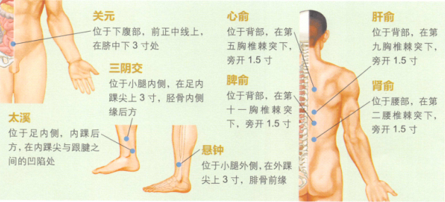老年癡呆癥艾灸