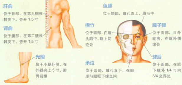 假性近視艾灸