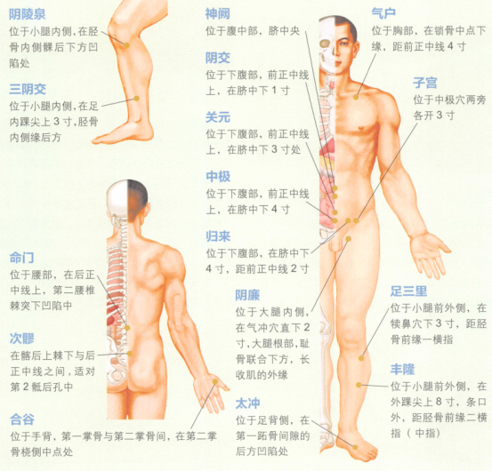 女性不孕癥艾灸