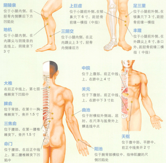 肥胖艾灸