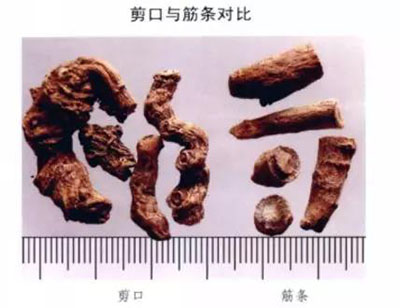 筋條