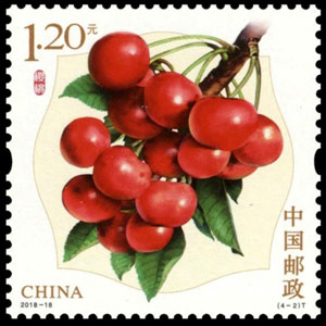 櫻桃