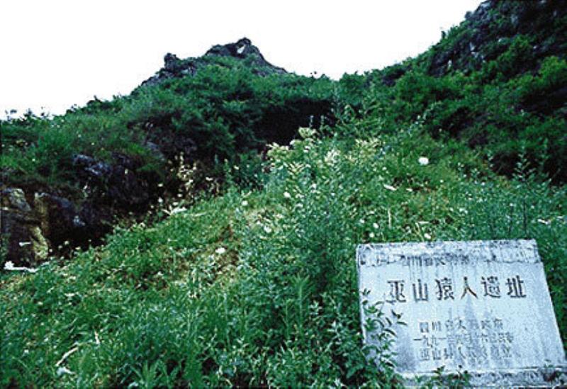 三峽建起巫山猿人陳列館