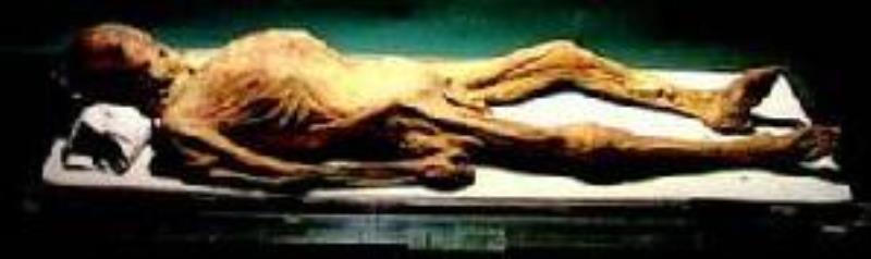 巴黎發(fā)覺一具被遺忘100多年的埃及木乃伊