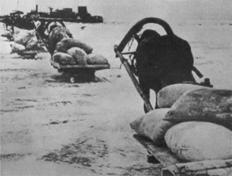 蘇軍最終解除了列寧格勒之圍