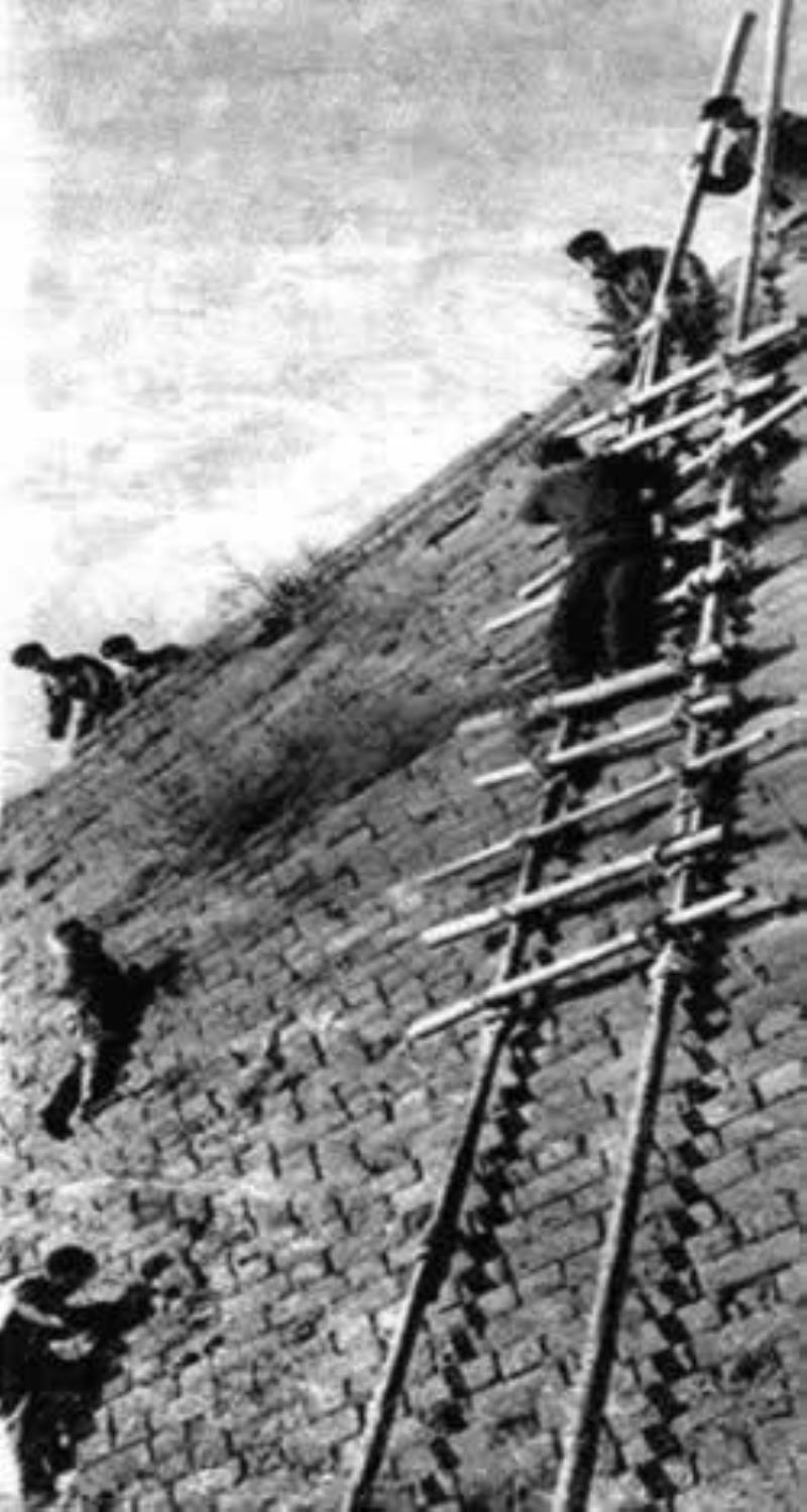 北京開(kāi)始大規(guī)模捕殺麻雀
