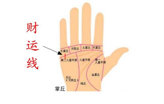 手相怎么看財(cái)運(yùn) 一、從手型看財(cái)運(yùn)