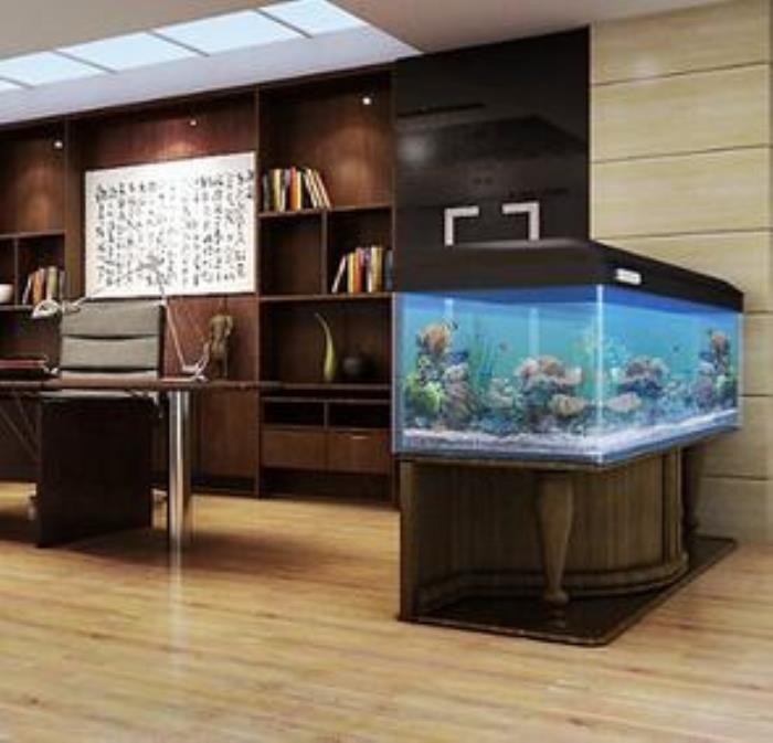 辦公室養(yǎng)魚風(fēng)水講究 辦公室魚缸的擺放風(fēng)水