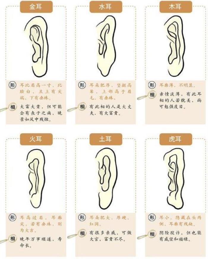 女人招風耳面相怎么樣 什么是招風耳