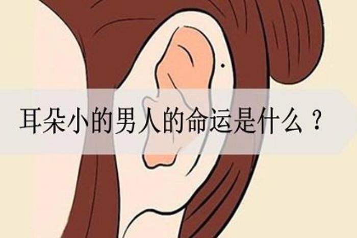 小耳朵男性的性格運勢如何 心無城府沒有福氣