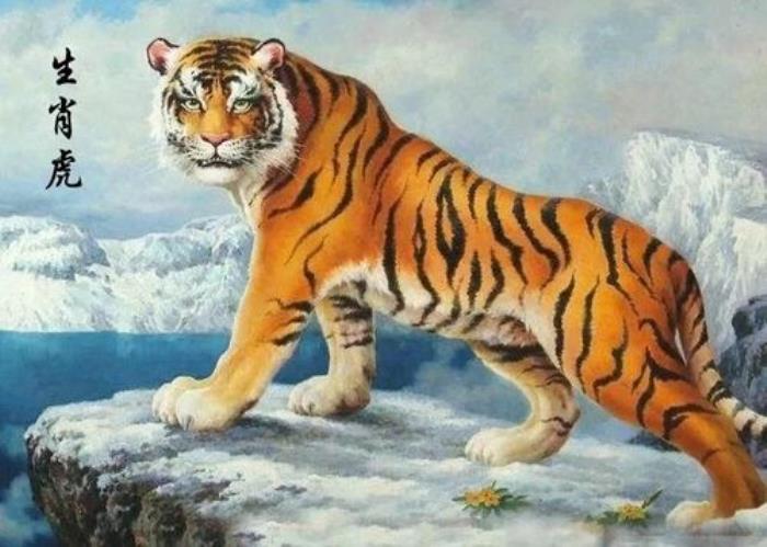 屬虎的性格和脾氣男人 屬虎男心里有你表現(xiàn)