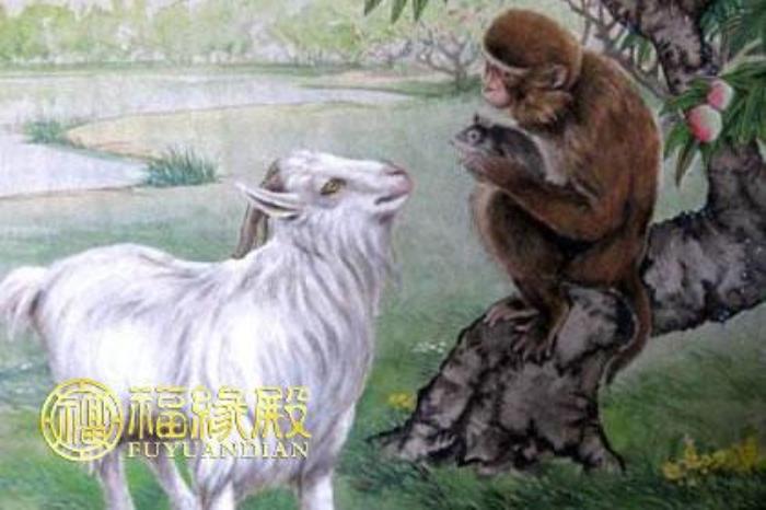 92年猴和91年羊合不合，屬猴和屬羊合適嗎 92年的猴和91年的羊