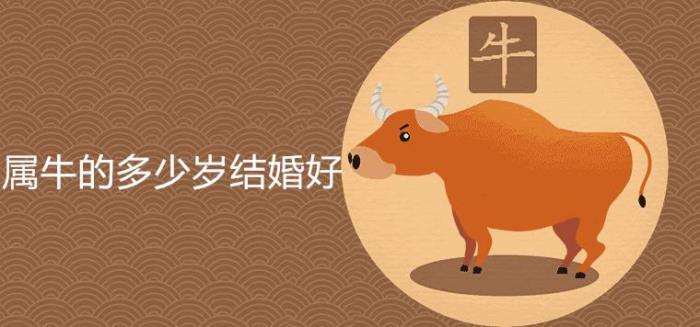 屬牛的生肖婚配表 牛和什么生肖最配