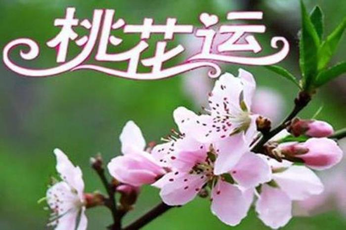 怎么增加桃花運(yùn)風(fēng)水 桃花運(yùn)風(fēng)水布局