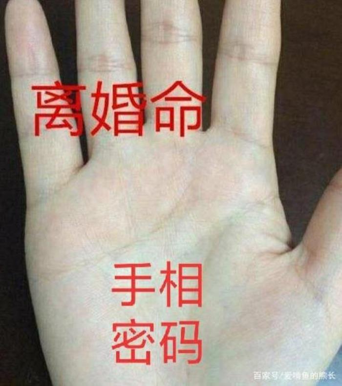 手相可以看出人的一生嗎 手相可以看出一個(gè)人的命運(yùn)嗎