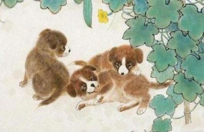 屬狗人最苦命出生時辰 子時，丑時，亥時