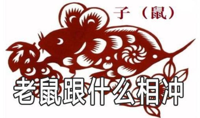 生肖屬鼠的和雞合不合財 屬鼠與什么屬相相克