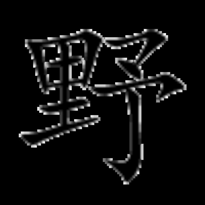 野字五行屬什么 野字的含義 五行屬土寓意最好的字