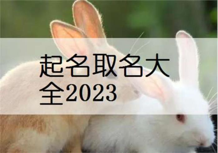 2023年兔寶寶起名字? 2023年兔寶寶起名字
