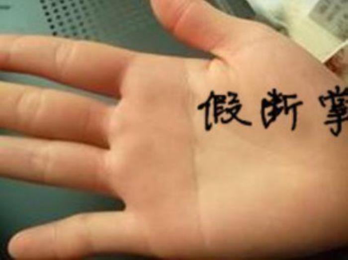 手相斷掌男女有何不同 女人左手斷掌和右手斷掌區(qū)別
