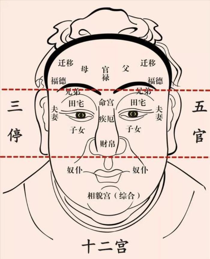 五官看相的口訣分享 認識五官順口溜