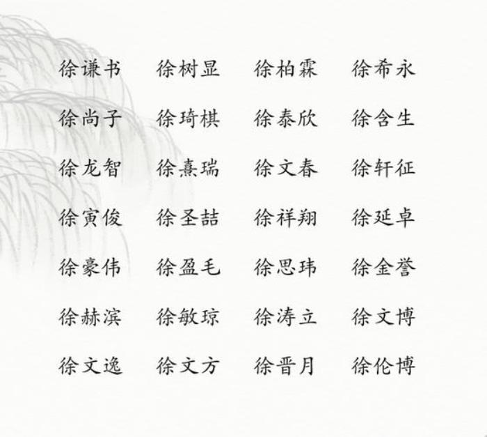 男孩姓徐取盧字名字 男孩子姓徐叫什么好