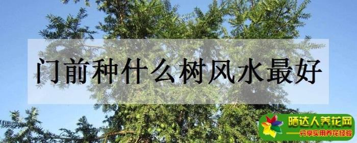 房子周邊應(yīng)該種什么樹木風(fēng)水好 房屋周邊風(fēng)水和樹木