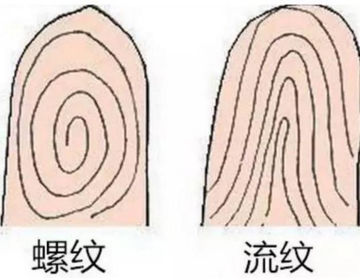 女人有七個螺好嗎 七個螺紋的女人的性格